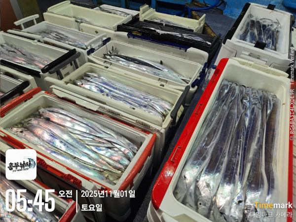 2025-11-01 05.45.19_.jpg