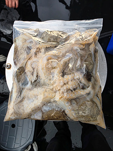 인천쭈꾸미낚시 (4).jpg