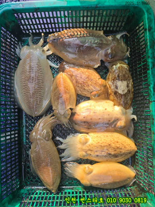 11월06 썬 (12).jpg