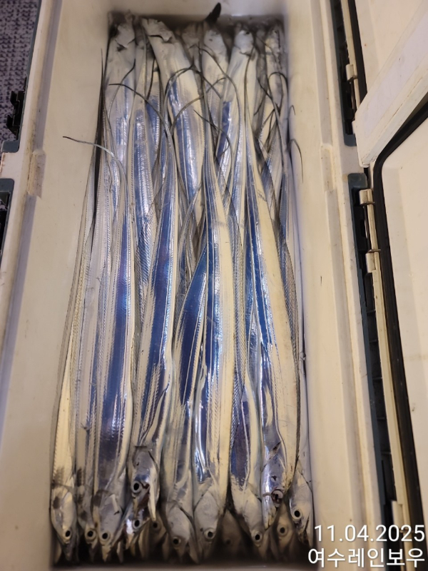 ♡여수레인보우♡갈치_열기_한치_갑오징어__사진_20251104_13.jpg