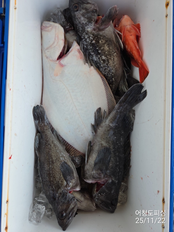 최강피싱 063.463.0800_사진_20251122_43 - 복사본.jpg