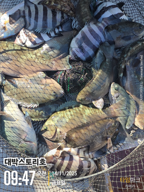 2025-11-14 09.47.06__(대박스토리호).jpg