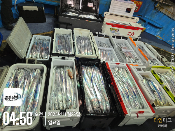 2025-11-23 04.56.08_.jpg