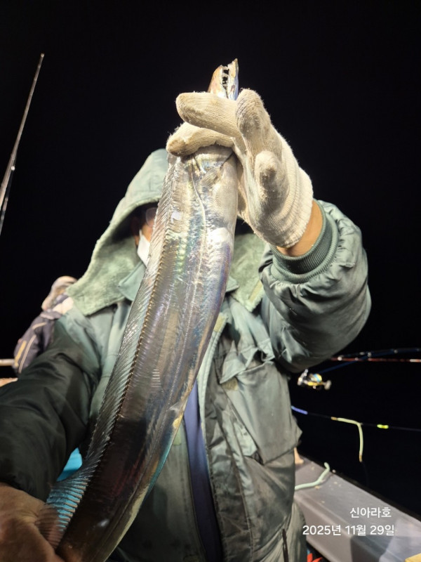 바다꾼낚시(신아라호)_사진_20251130_16.jpg