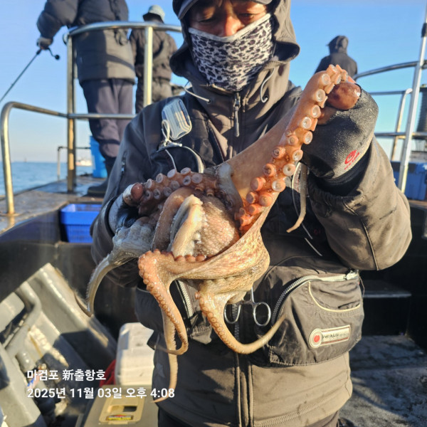 ꫛꫀꪝ✧‧˚ 태안 마검포 新출항호 .• _˚☀₊_사진_20251105_1.jpg