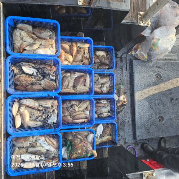 ꫛꫀꪝ✧‧˚ 태안 마검포 新출항호 .• _˚☀₊_사진_20251107_6.jpg