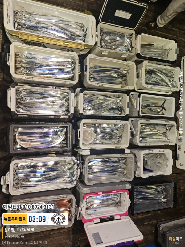 2025-11-23 03.09.12_Japan_(제목-뉴블루마린호)_(예약전화 010 8924 3131).jpg