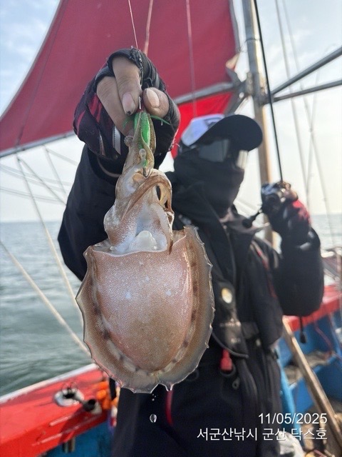 군산 선상낚시, 바다낚시 출조 전문 ☆서군산낚시☆_사진_20251105_10.jpg