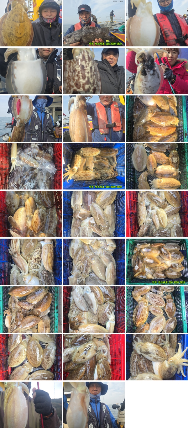 11월06 썬 (1)-tile.jpg