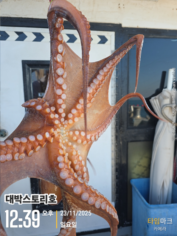 2025-11-23 12.39.14__(대박스토리호).jpg