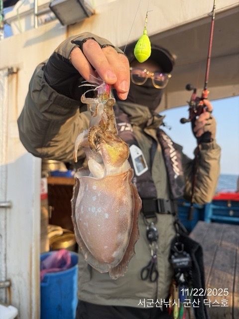 군산 선상낚시, 바다낚시 출조 전문 ☆서군산낚시☆_사진_20251122_8.jpg