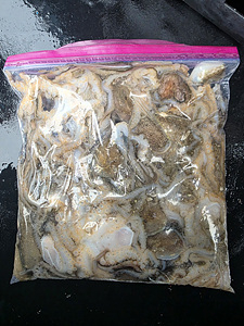 인천쭈꾸미낚시 (21).jpg