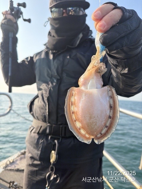 군산 선상낚시, 바다낚시 출조 전문 ☆서군산낚시☆_사진_20251122_16.jpg