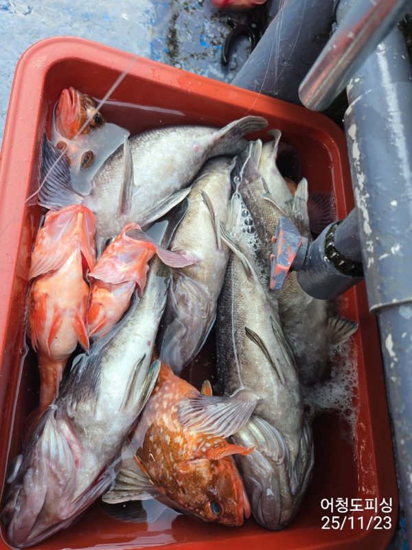 최강피싱 063.463.0800_사진_20251123_28.jpg