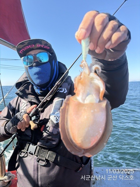 군산 선상낚시, 바다낚시 출조 전문 ☆서군산낚시☆_사진_20251103_16.jpg