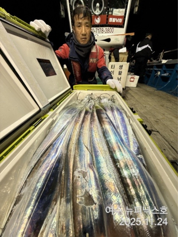 24일초대박갈치 (12).jpg