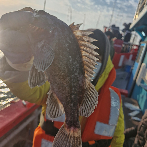 인천바다낚시 (14).jpg