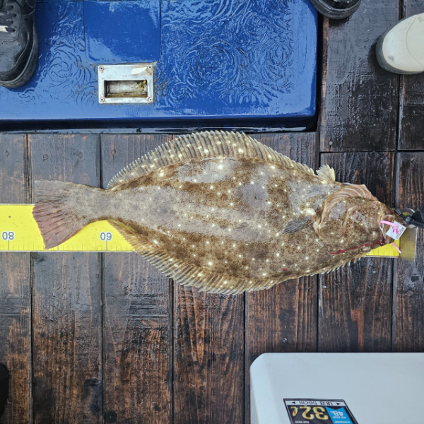 마검포 대한호(VIP)_사진_20251130_2.jpg