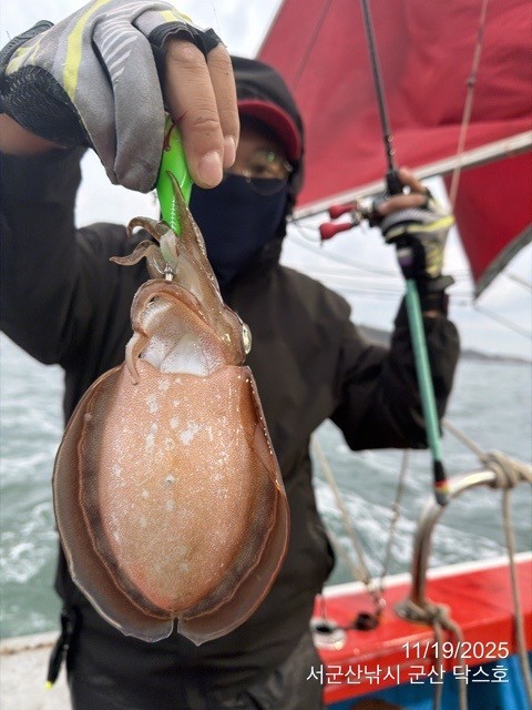 군산 선상낚시, 바다낚시 출조 전문 ☆서군산낚시☆_사진_20251119_14.jpg