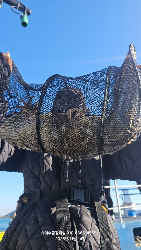 여수금강피싱_사진_20251115_22.jpg