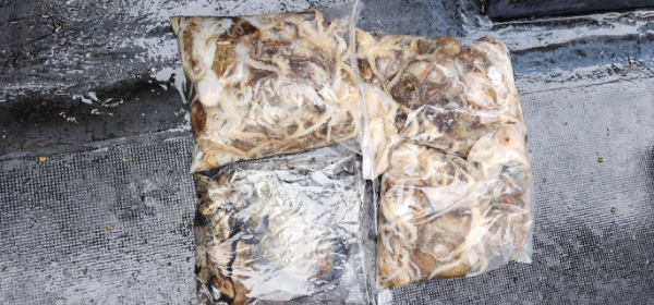 예지퀸호 농어외수질&어초낚시 경기인천권_사진_20251031_17.jpg