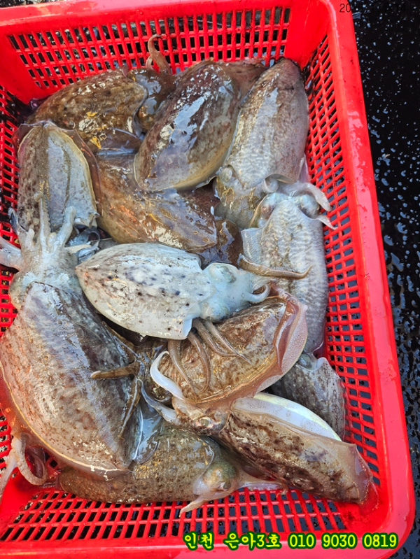 11월14 3호 (1).jpg