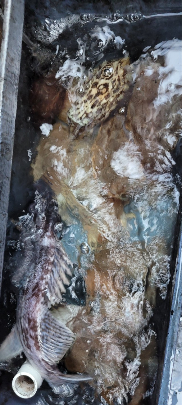 예지퀸호 농어외수질&어초낚시 경기인천권_사진_20251112_17.jpg