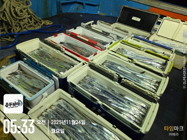 2025-11-24 05.33.07_.jpg