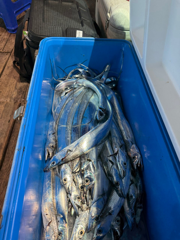 제주 쏘니호_사진_20251112_7.jpg