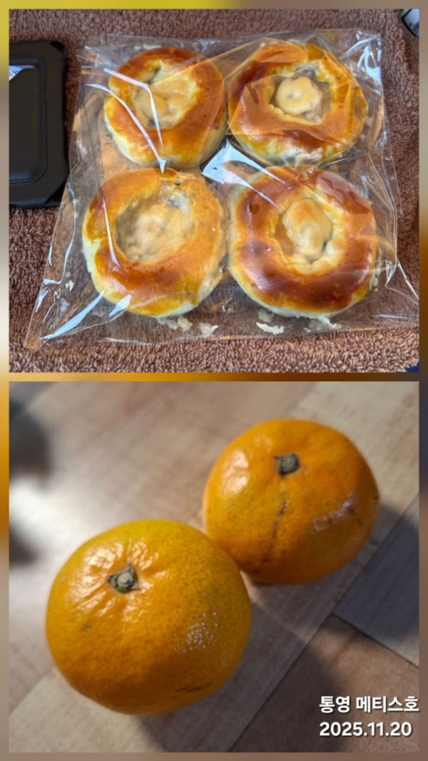 통영 메티스호_사진_20251120_1.jpg