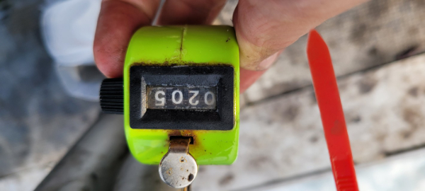 예지퀸호 농어외수질&어초낚시 경기인천권_사진_20251030_1.jpg