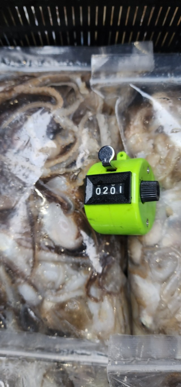 예지퀸호 농어외수질&어초낚시 경기인천권_사진_20251031_3.jpg