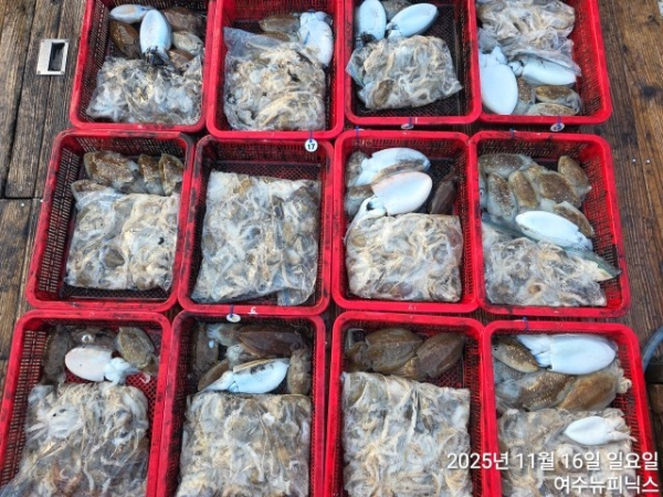 11월16일왕쭈갑 (31).jpg