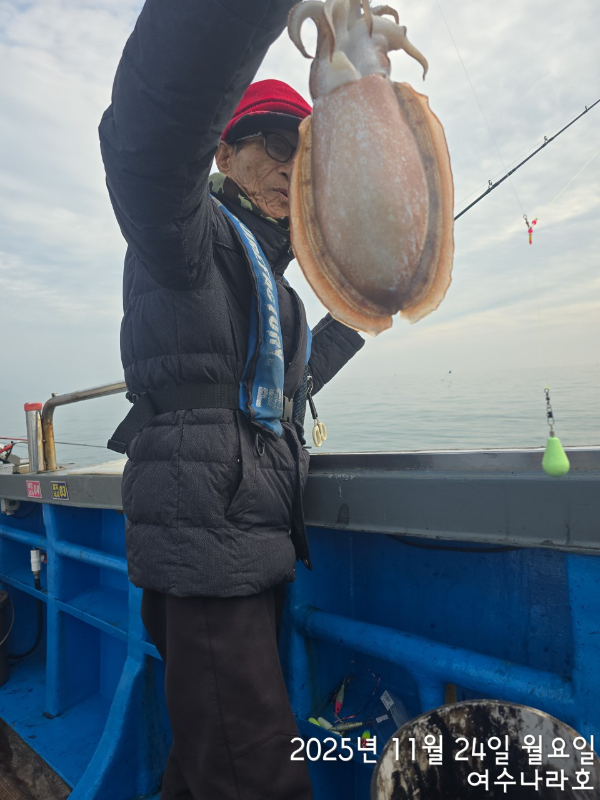 ♠여수나라호♠ 갈치 문어 참돔(타이라바), 쭈꾸미 갑오징어 선상낚시 생활낚시_사진_20251125_18.jpg