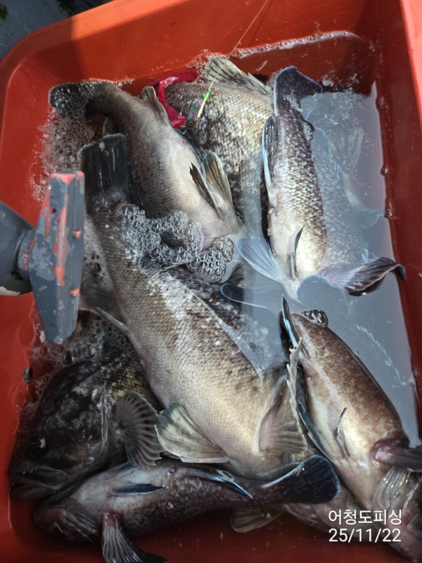 최강피싱 063.463.0800_사진_20251122_27 - 복사본.jpg