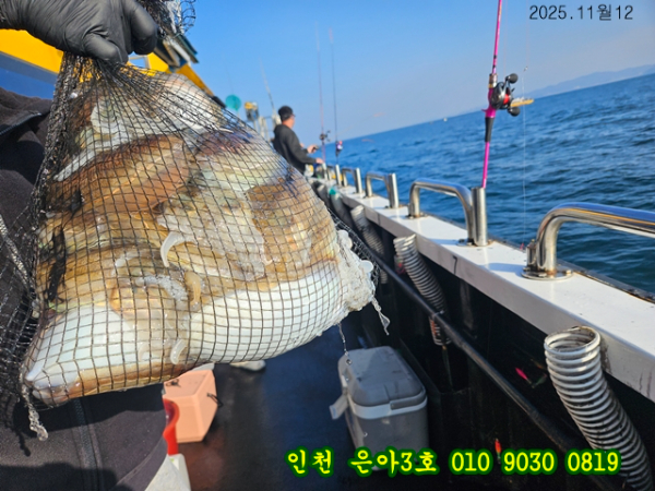 11월13 3호 (6).jpg