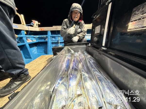 11월29일갈치 (7).jpg