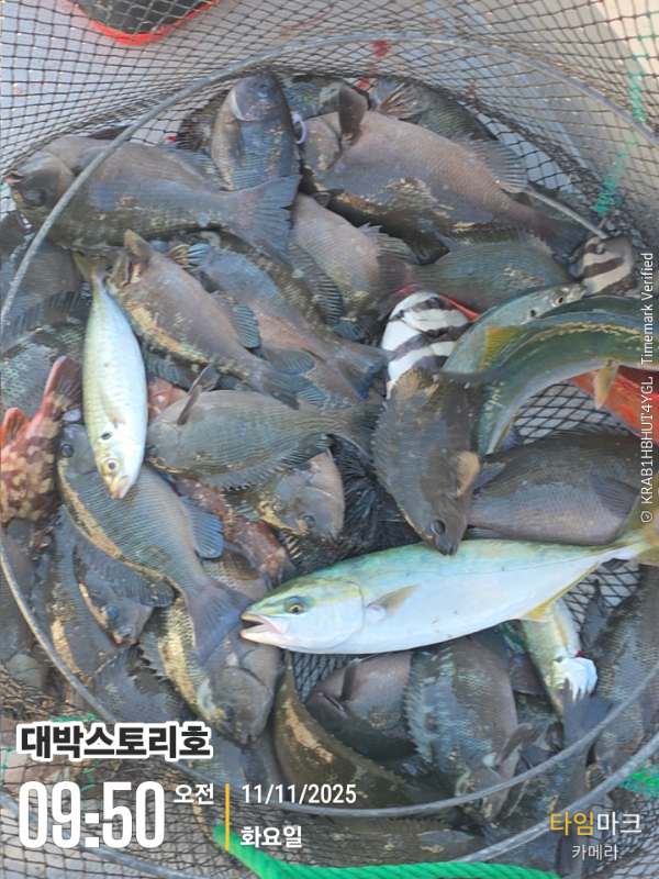 2025-11-11 09.50.05__(대박스토리호).jpg