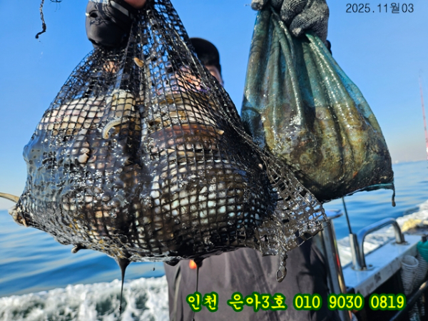 11월03 3호 (17).jpg