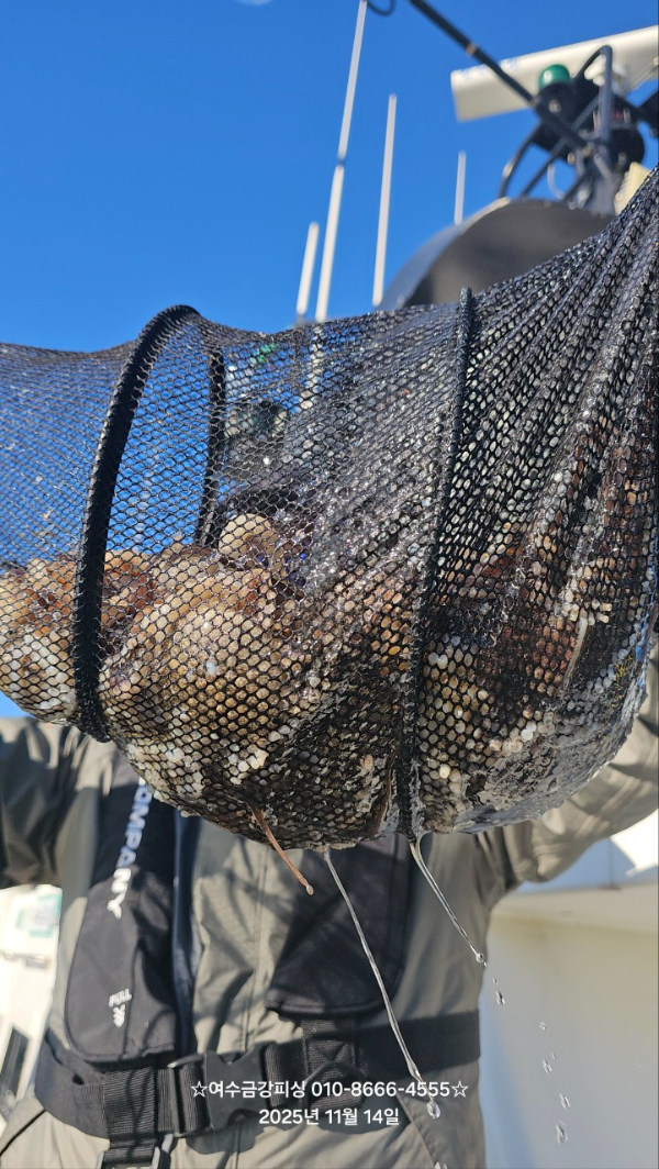여수금강피싱_사진_20251115_9.jpg