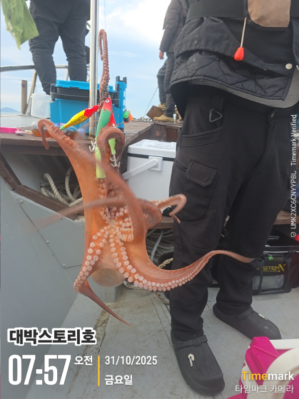 2025-10-31 07.57.11__(대박스토리호).jpg