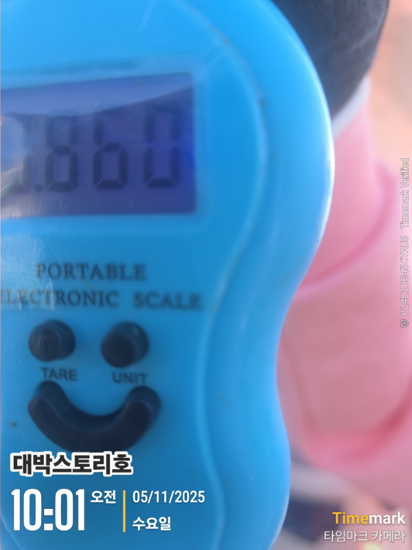 2025-11-05 10.01.52__(대박스토리호).jpg