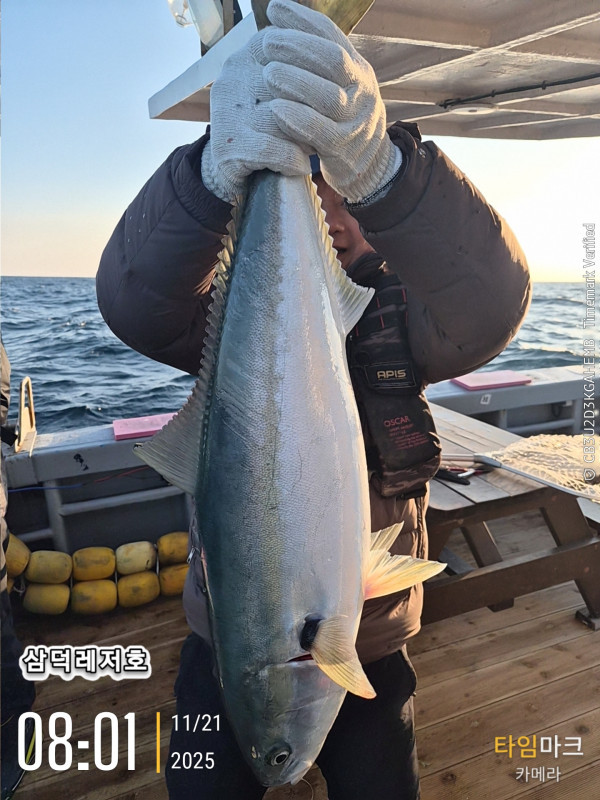 2025-11-21 08.01.13_.jpg