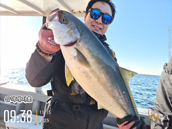 2025-11-15 09.38.10_.jpg