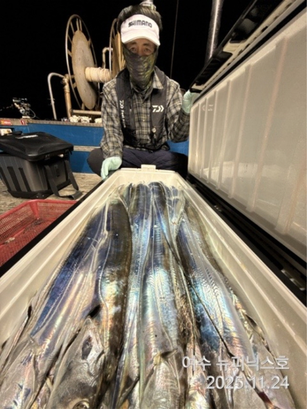 24일초대박갈치 (11).jpg