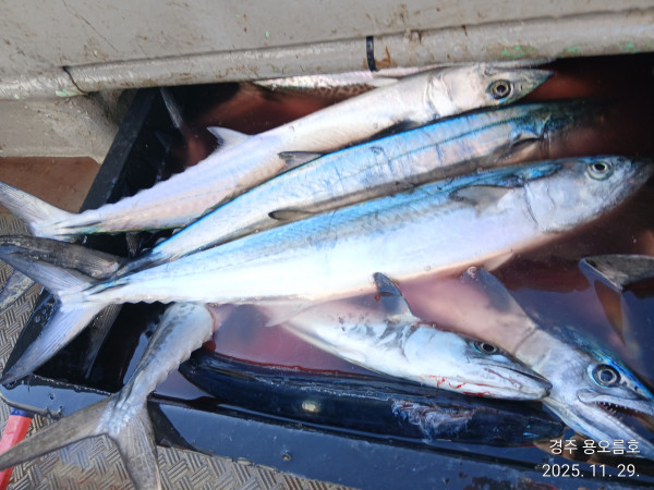 KakaoTalk_20251129_162313989_02 (1).jpg