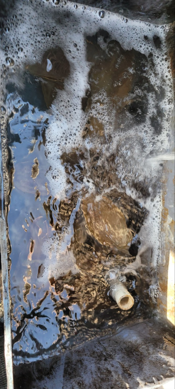 예지퀸호 농어외수질&어초낚시 경기인천권_사진_20251109_3.jpg