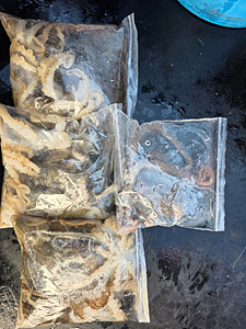 인천쭈꾸미낚시 (2).jpg