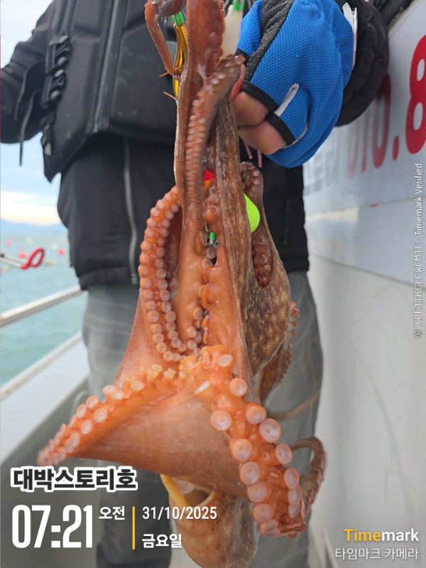 2025-10-31 07.21.15__(대박스토리호).jpg