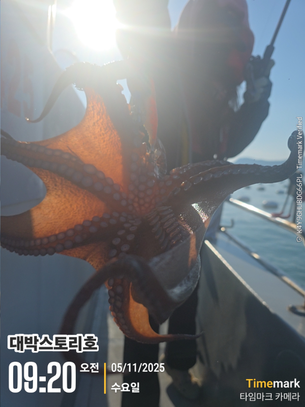 2025-11-05 09.20.29__(대박스토리호).jpg